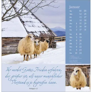 Produktbild des Artikels Sei behütet auf allen Wegen 2026 - Wandkalender (Kalender - Spiralbindung)