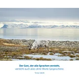 Stimmungsbild zu Dem Leben Tiefe geben