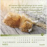 Stimmungsbild zu Kleine Katzen-Tatzen 2026 - Postkartenkalender