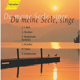 Produktbild des Artikels Du meine Seele, singe (MP3-Album - Download)