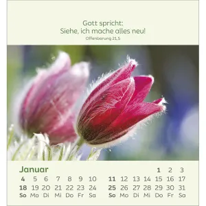 Produktbild des Artikels Kleine Blumengrüße 2026 - Aufstellkalender (Kalender - Spiralbindung)