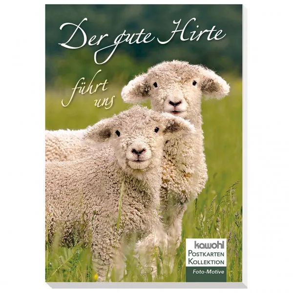 Produktbild des Artikels Postkartenbuch: Der gute Hirte führt uns (Buch - Kartoniert)