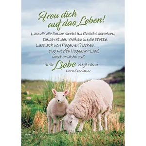 Produktbild des Artikels Postkarten: Freu dich auf das Leben!, 4 Stück (Schreibwaren)