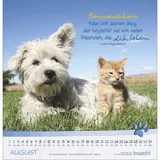 Stimmungsbild zu Katzen-Tatzen 2026 - Wandkalender