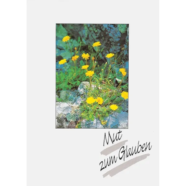 Produktbild des Artikels Mut zum Glauben (Buch - Kartoniert)