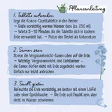 Stimmungsbild zu Pflanz-Set Kinder "Mein kleines blaues Wunder"