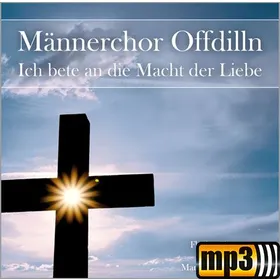 Produktbild des Artikels Großer Gott, wir loben dich (MP3-Track - Download)
