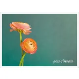 Stimmungsbild zu Postkartenbuch "Herzensmensch"