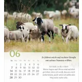 Stimmungsbild zu Psalm 23 - Tischkalender 2026