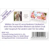 Stimmungsbild zu Himmlische Zusagen - Karten