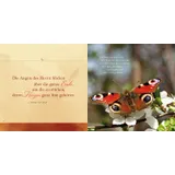 Stimmungsbild zu Du schenkst mir Mut zum Leben!