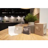 Stimmungsbild zu Leben in Fülle - 40 Wunschkärtchen