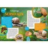 Stimmungsbild zu Family Fips 06/2025