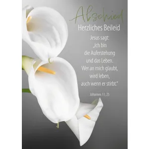 Produktbild des Artikels Faltkarte "Abschied - Herzliches Beileid" (Schreibwaren)
