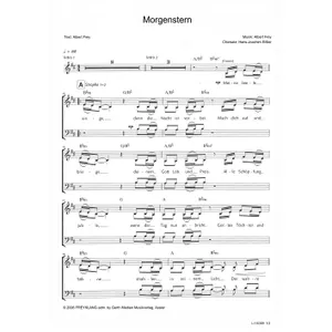 Produktbild des Artikels Morgenstern (Noten - Download)