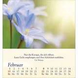 Stimmungsbild zu Licht für deine Seele 2026 - Aufstellkalender