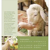 Stimmungsbild zu Sei behütet und geborgen 2026 - Aufstellkalender