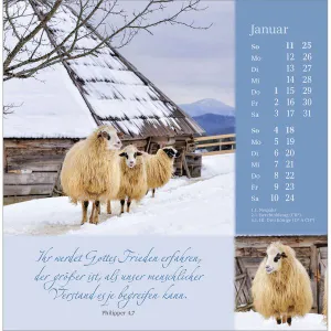 Produktbild des Artikels Sei behütet und gesegnet 2026 - Postkartenkalender (Kalender - Spiralbindung)