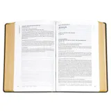 Stimmungsbild zu Menge 2020 - Standardausgabe (Softcover, grau)