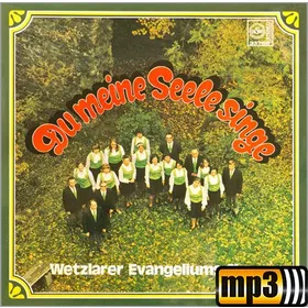 Produktbild des Artikels Nimm mich bei der Hand, Vater (MP3-Track - Download)