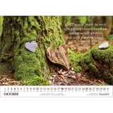 Stimmungsbild zu Lichtgedanken 2026 - Wandkalender