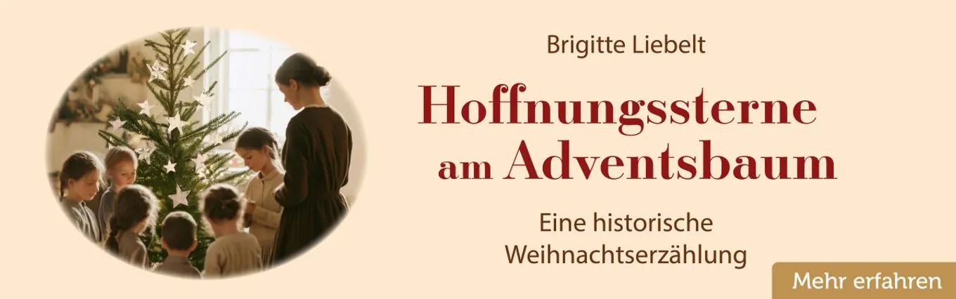 Banner zu Hoffnungssterne am Adventsbaum