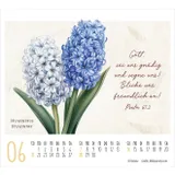 Stimmungsbild zu KunstWerke des Schöpfers 2026 - Minikalender