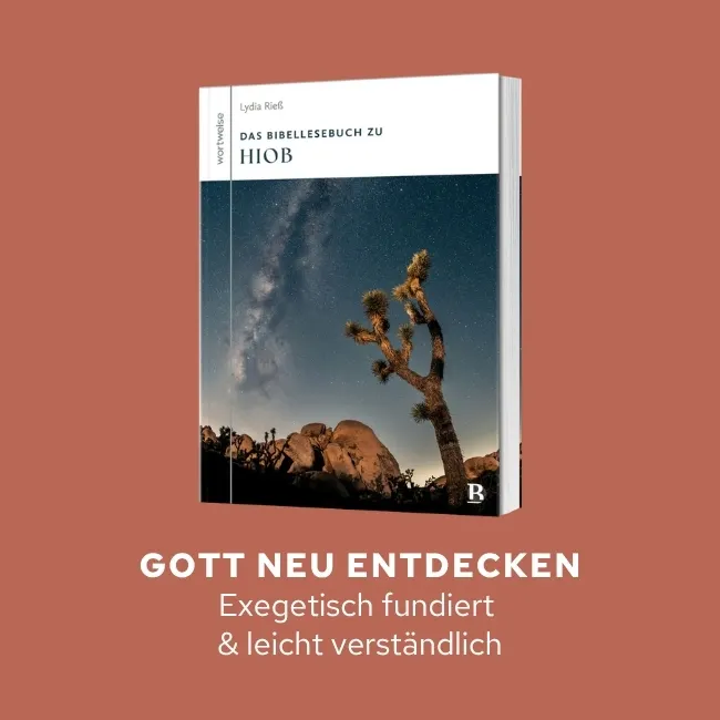 Das Bibellesebuch zu Hiob