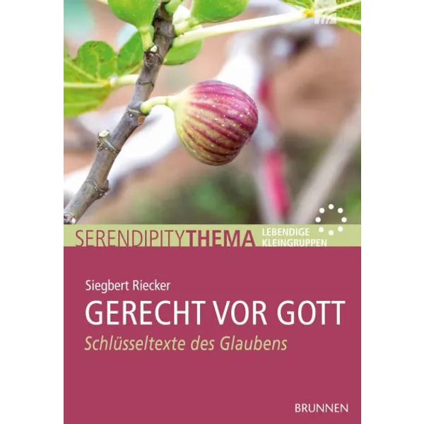 Produktbild des Artikels Gerecht vor Gott (Buch - Geheftet)