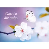 Stimmungsbild zu Lauter gute Wünsche - Postkartenbuch