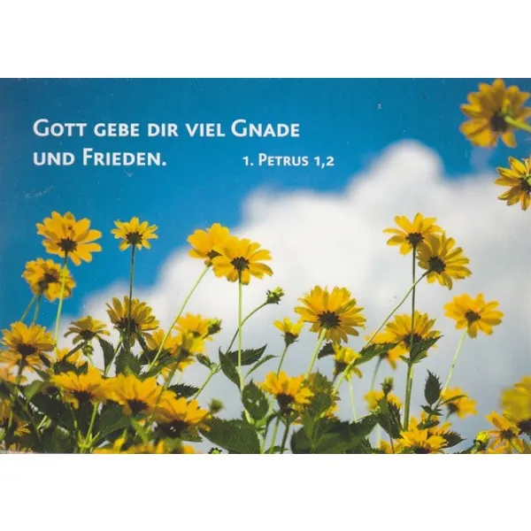 Produktbild des Artikels Kärtchen Neutral - 24 Stück (Schreibwaren)