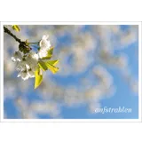 Stimmungsbild zu Postkartenbuch "Herzensmensch"