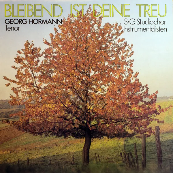 Produktbild des Artikels Bleibend ist deine Treu (MP3-Album - Download)