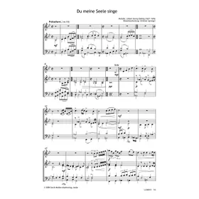 Produktbild des Artikels Du meine Seele singe (Noten - Download)