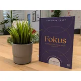 Stimmungsbild zu Fokus