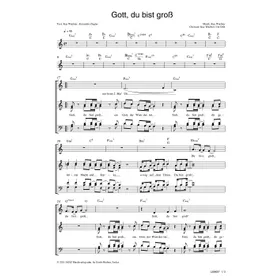 Produktbild des Artikels Gott, du bist groß (Noten - Download)