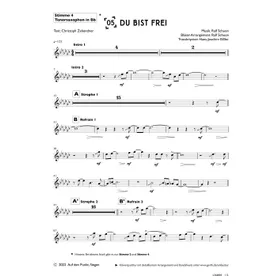 Produktbild des Artikels Du bist frei (Tenorsaxophon in Bb) (Noten - Download)
