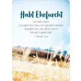 Stimmungsbild zu Königstochter - Blechdose