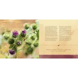 Stimmungsbild zu Du schenkst mir Mut zum Leben!