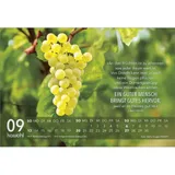 Stimmungsbild zu Jesus Zitate 2026 - Aufstellkalender