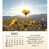 Stimmungsbild zu Schönheit des Lichts 2026 - Tischkalender