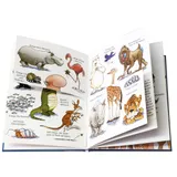 Stimmungsbild zu Wunderbare Welt