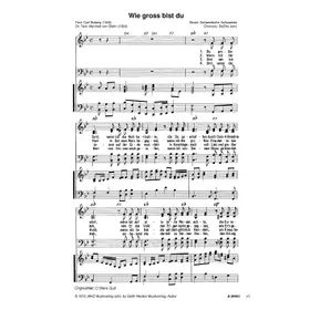 Produktbild des Artikels Wie groß bist du (Noten - Download)