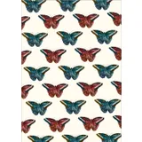 Stimmungsbild zu Grüße aus dem Paradies - Postkartenbox