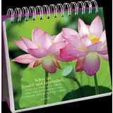Stimmungsbild zu In 80 Blumen um die Welt - Aufstellbuch