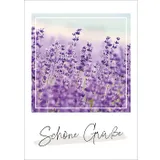 Stimmungsbild zu Unendlich geliebt - Postkartenset