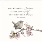 Stimmungsbild zu AugenBlicke - Aufstellbuch