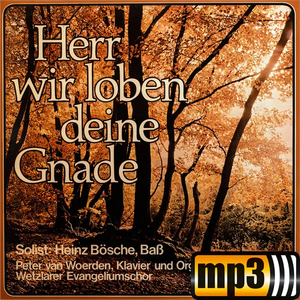 Produktbild des Artikels So wie ich bin (MP3-Track - Download)