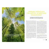 Stimmungsbild zu Seveneleven 02/2024