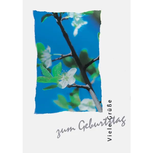 Produktbild des Artikels Viele Grüße zum Geburtstag (Buch - Kartoniert)